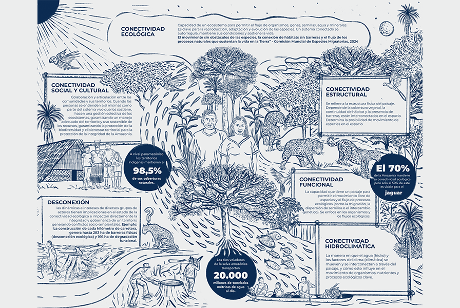 Estudio de conectividad ecológica